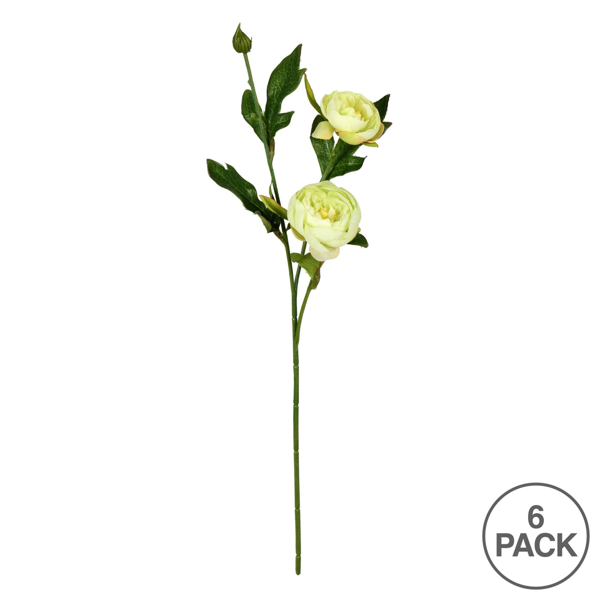 6 Pack: Lime Peony Spray
